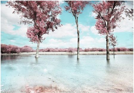 Fototapeta 3D Las - Jesienny krajobraz 200x140