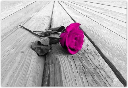 Fototapeta 200x135 Róża na deskach Kwiat