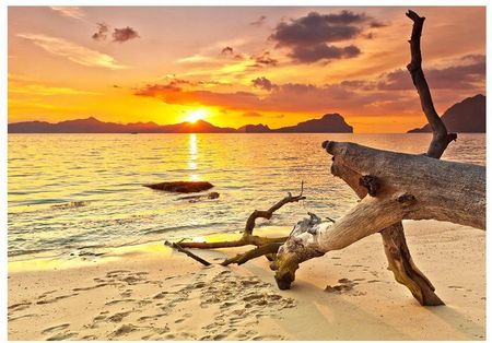 Fototapeta 3D plaża morze słońca 416x290 F00143