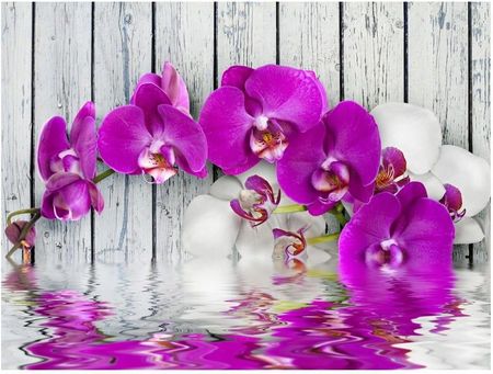 Fototapeta optyczna 3d fioletowa orchidea 350x270
