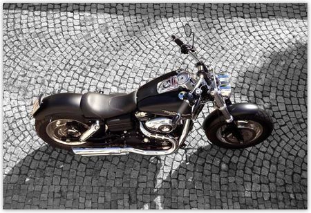 Fototapeta 200x135 Harley Davidson