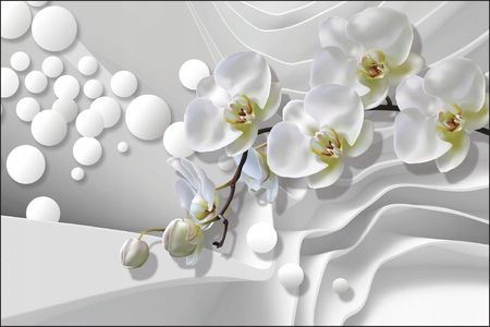 Fototapeta 3D Kwiaty Orchidea Storczyk 210x315