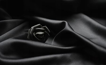 Tapeta flizelinowa Czarna róża 416x254