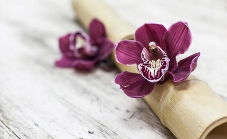 Fototapeta Flizelinowa Orchidei Drewno 416x254