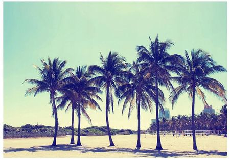 Fototapeta 3D palmy plaża 312x219 F00529