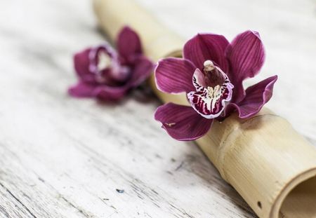 Fototapeta Flizelinowa Orchidei Drewno 152x104