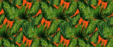 Tapeta Flizelinowa Tropikalne liście - 250x104