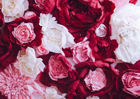 Fototapeta Flizelinowa Papierowe róże - 208x146