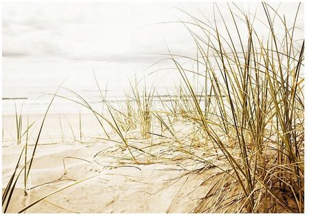 Fototapeta 3D plaża roślinność 416x290 F00137