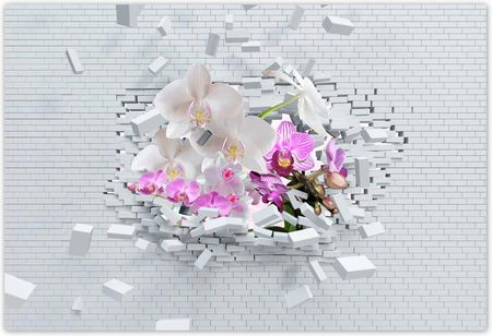 Fototapeta 200x135 Storczykiem w mur Kwiaty