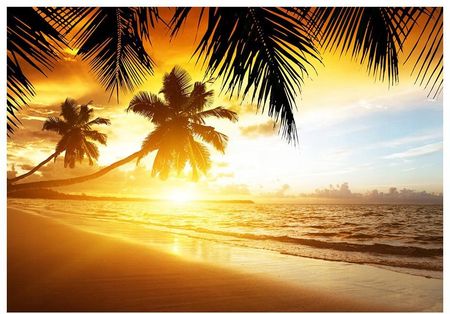Fototapeta 3D plaża morze palmy 152x104 F00167