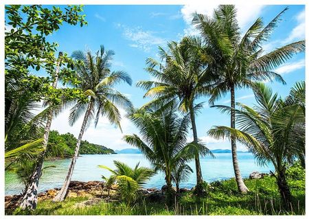 Fototapeta 3D palmy morze plaża 312x219 F00868