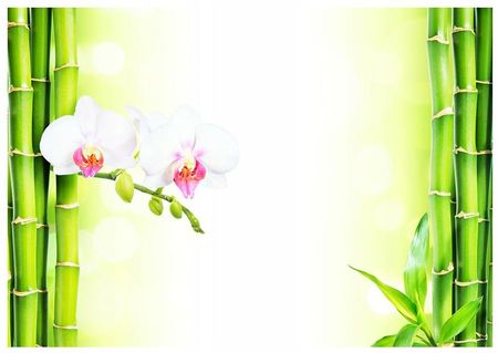 Fototapeta 3D orchidea kwiat Spa 312x219 F00569