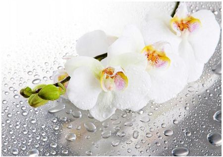 Fototapeta 3D kwiaty orchidea kwiat 152x104 F00170