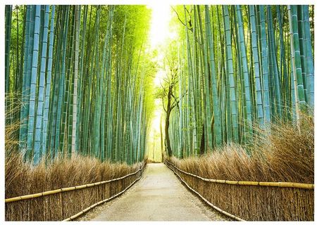 Fototapeta 3D optyczna droga bambus 312x219 F00419