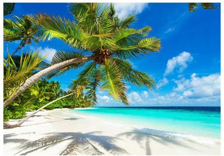 Fototapeta 3D Malediwy plaża palmy 368x254 F00404