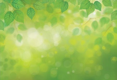 Tapeta flizelinowa Zielone liście - 104x70