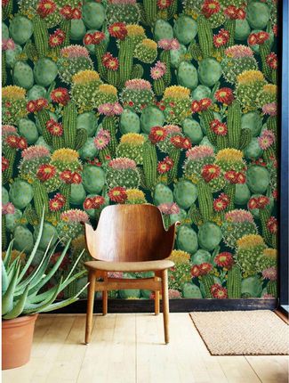 Fototapeta do sypialni Kolorowe kaktusy 152x104 cm