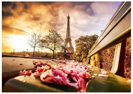 Fototapeta 3D Paryż Wieża Eiffla 368x254 F00352