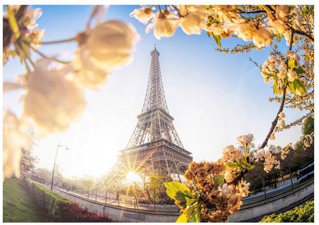 Fototapeta 3D Wieża Eiffla Paryż 368x254 F00867