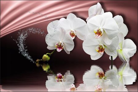 Fototapeta 3D do sypialni biała orchidea 90x135