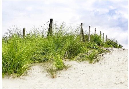 Fototapeta 3D plaża wydmy rośliny 368x254 F00199