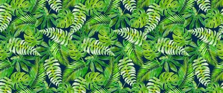 Tapeta Flizelinowa Tropikalne liście - 250x104