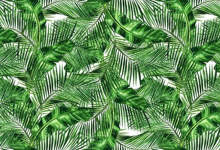Tapeta Flizelinowa Tropikalne liście - 104x70