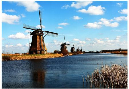 Fototapeta 3D Holandia wiatraki 312x219 F00318