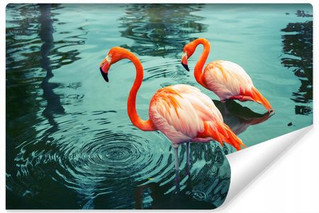 Fototapeta do Salonu Flamingi Jezioro 3D 360x240