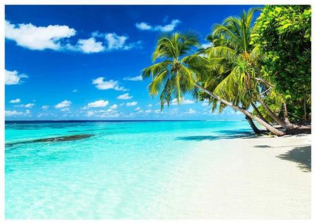 Fototapeta 3D Malediwy plaża palmy 416x290 F00621