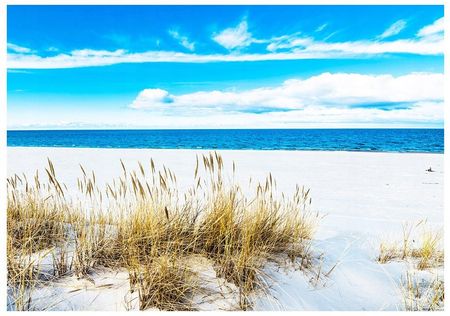 Fototapeta 3D Morze Plaża Wydmy 368x254 F00745