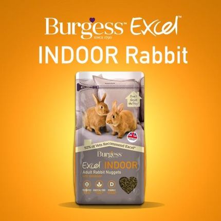 Burgess Excel Rabbit Indoor Z Mniszkiem Lekarskim I Pokrzywą 10 Kg Karma Dla Królika 