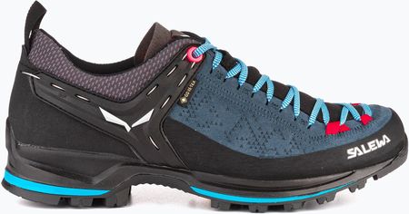 Salewa Mtn Trainer 2 Gtx Granatowy