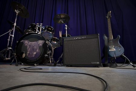 Line 6 Catalyst 100 - combo gitarowe - Ceny i opinie - Ceneo.pl