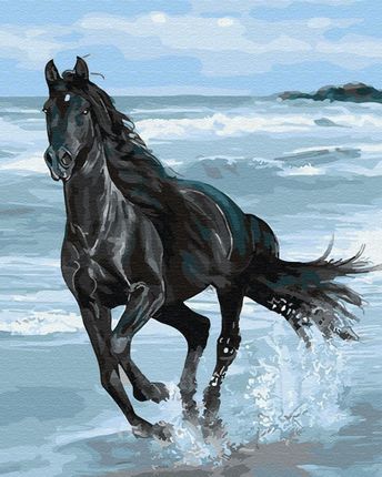 Artnapi Czarny Koń Malowanie Po Numerach