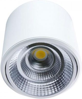 Dpm Reflektor LED punktowy regulowany natynkowy 20W biały (SA912STLDL20WW)