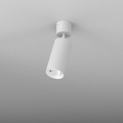 Aqform Reflektor LED Pet next 10W biała czarna : Kąt świecenia - 50°, Kolor obudowy - biała, Ściemnianie - ND, Temperatura barwowa - 3000K (16363M930W
