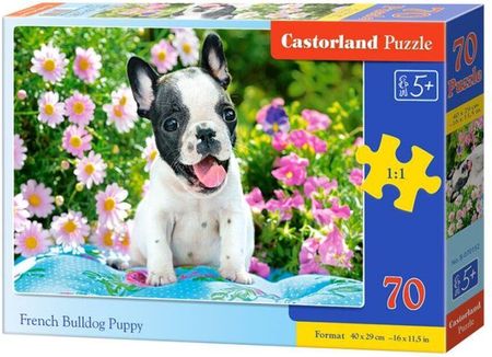 Castorland Puzzle 70El. French Bulldog Puppy