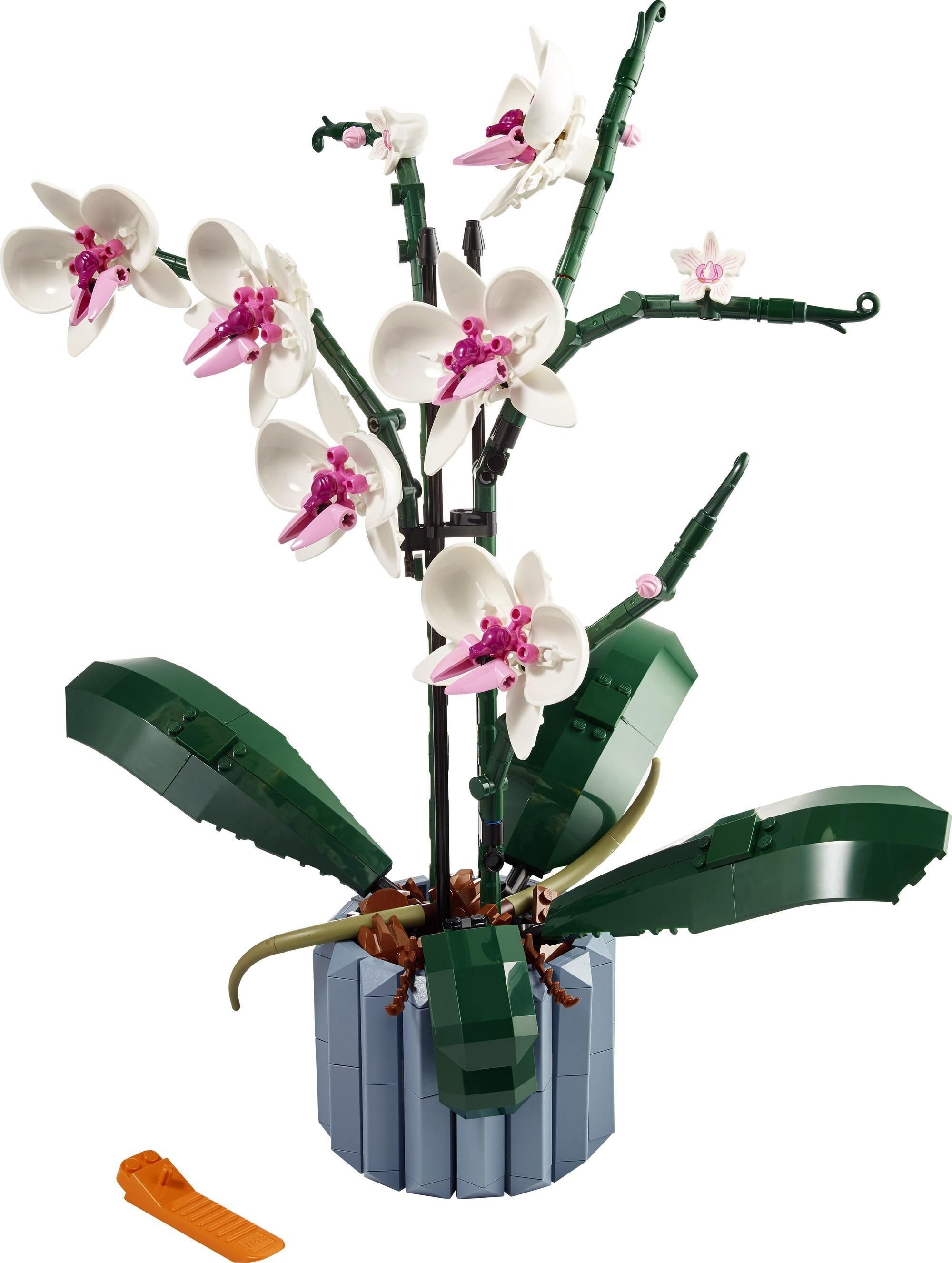 LEGO Creator Expert 10311 Orchidea - zdjęcie 8 LEGO Creator Expert 10311 Orchidea