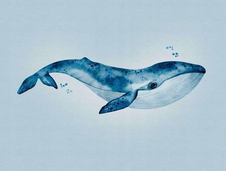 As Creation Tapeta Panel Ścienny Niebieski Wieloryb