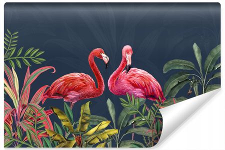 Muralo Fototapeta Flamingi Liście Tropikalne 3D 368X254