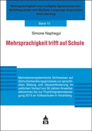 Mehrsprachigkeit Trifft Auf Schule - Literatura Obcojęzyczna - Ceny I ...