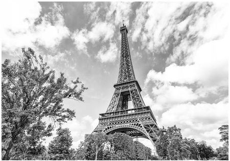 Printedwall Fototapeta 3D Wieża Eiffla Paryż 312X219 F00836