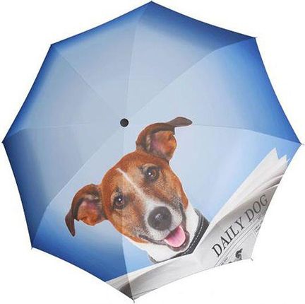 Parasol Art Collection Daily Dog