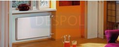 Zdjęcie Purmo Plan Compact Fc21S 550x1000 - Szczawno-Zdrój