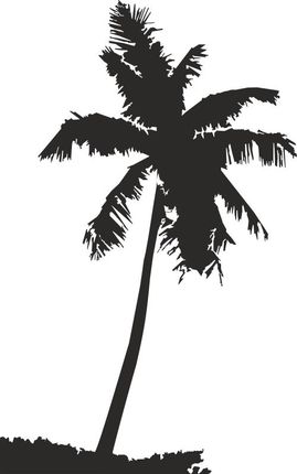 Naklejka na ścianę ścienna Drzewo palma 160x100cm