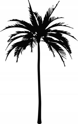 Naklejka na ścianę ścienna Drzewo palma 200x125cm