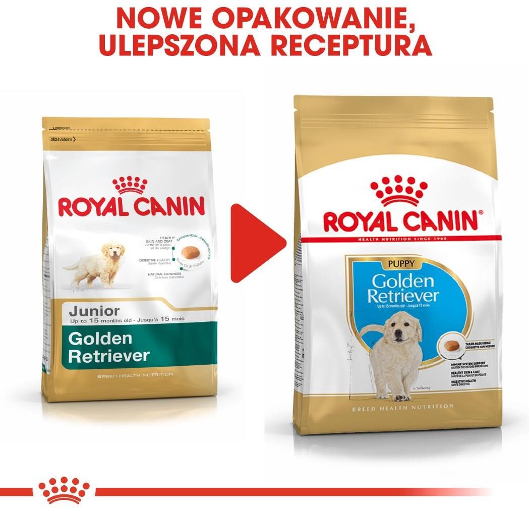 Karma Royal Canin Golden Retriever Puppy 12kg Ceny I Opinie Ceneo pl karma-royal-canin-golden-retriever-puppy-12kg-ceny-i-opinie-ceneo-pl