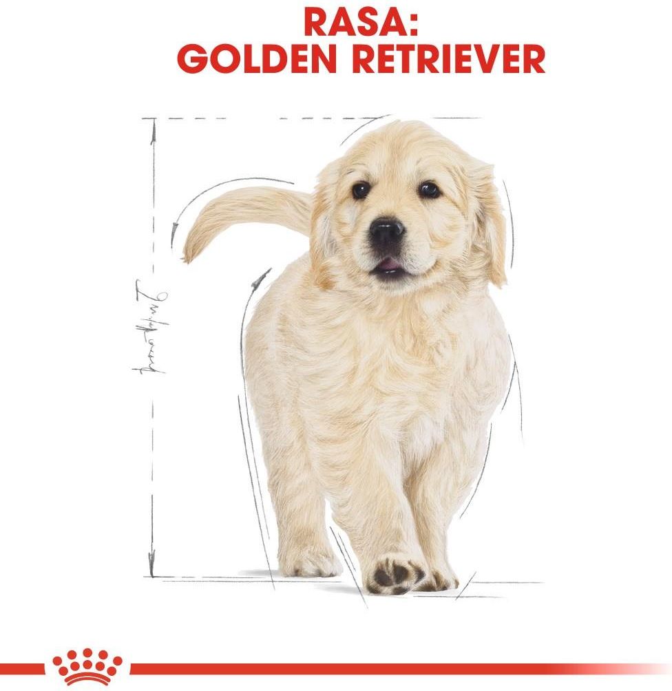 Karma Royal Canin Golden Retriever Puppy 12kg Ceny i